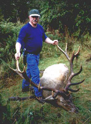 Bill Cornell  - NZ Wapiti - Elk