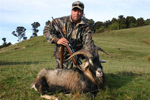 Pat Mulligan NZ Wild Goat
